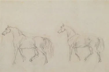 Deux chevaux marchant à gauche